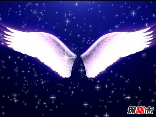 考古发现真实天使的残骸，脊部长有翅膀(婴儿天使)