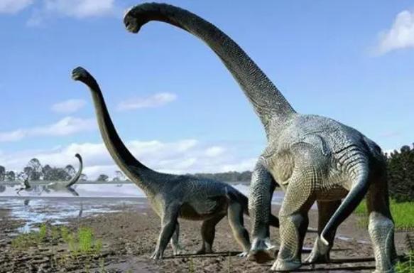 史上最大的恐龙是什么 地震龙体长32到36米 (体型庞大)