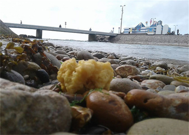 大量的黄色绒毛状物体 出现在法国的海岸上（仍是未知）