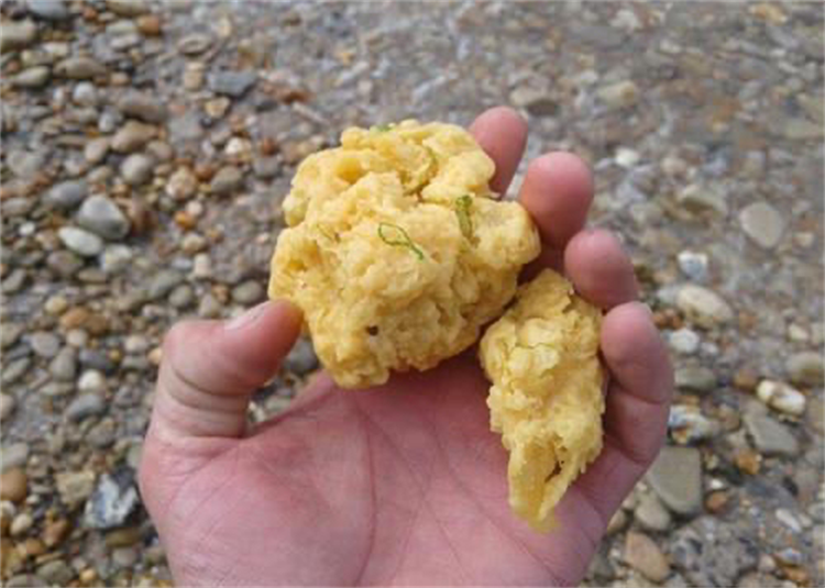 大量的黄色绒毛状物体 出现在法国的海岸上（仍是未知）