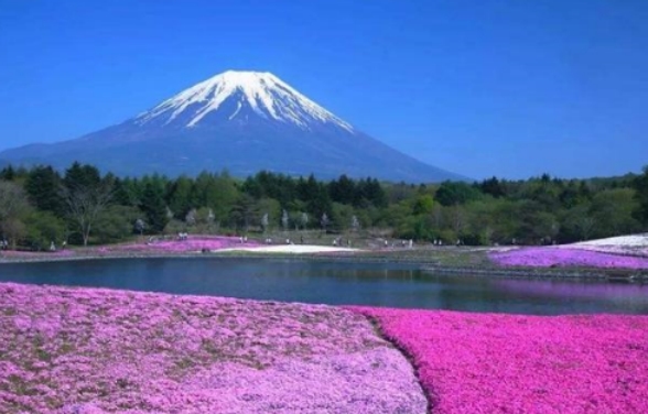 富士山在日本是私人所有 国家每年都要交纳租金（富士山归属）