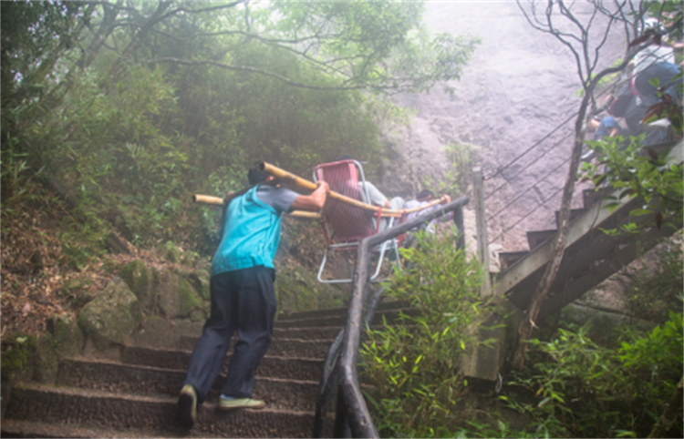 主人让轿夫抬狗上山 居然被键盘侠攻击侮辱（网络现状）