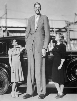 世界上最高的人，比姚明还高出半截身体（对比明显）