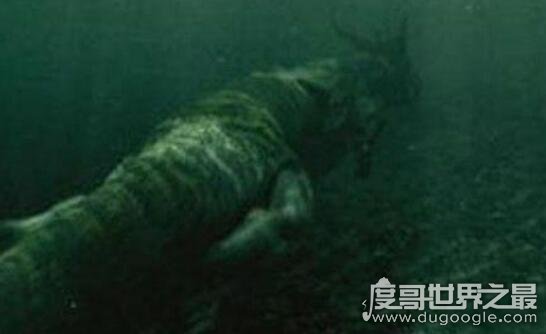 西藏青海湖水怪被奉为神明，形象和中国龙极为相似