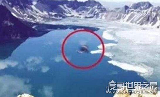 西藏青海湖水怪被奉为神明，形象和中国龙极为相似