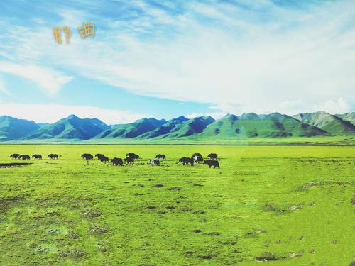 世界上海拔最高的城市，位于我国西藏自治区（不知名城市）