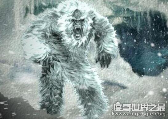 喜马拉雅山雪人真实相貌，传说中雪人脚印目击事件