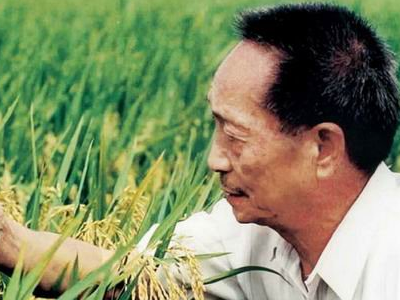 中国哪些技术世界第一，你还只知道杂交水稻吗（大国的骄傲）