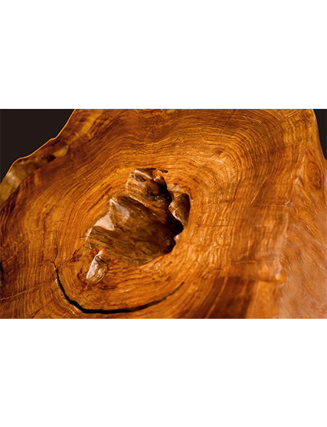 世界上最贵的木头，原木拍出4560万元的天价（2015年）