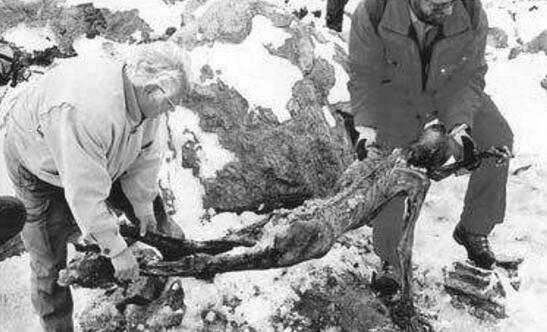 世界上现存最古老的古尸，冰人奥茨冰封5300年不腐
