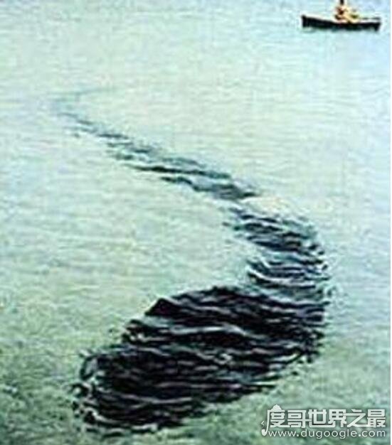 世界上最大的水怪，铜山湖水怪长达150米频频现身