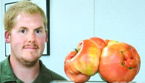 世界上最大的番茄，和人的脑袋一样大（重达8斤）