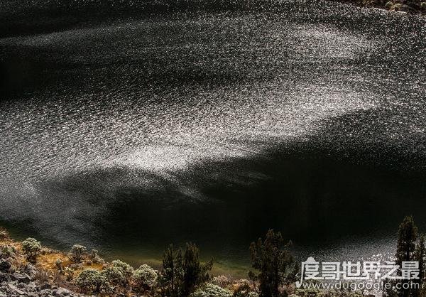 四川九龙“猎塔湖水怪”之谜真相，疑是消失千年的克柔龙