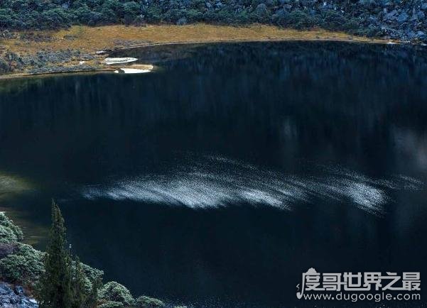 四川九龙“猎塔湖水怪”之谜真相，疑是消失千年的克柔龙