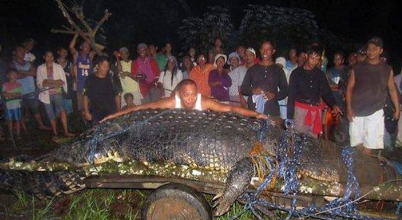 世界上最大的鳄鱼，体重超过一吨（庞然大物）