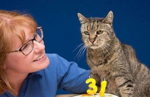世界上最长寿猫咪，竟活了38岁相当于人144岁