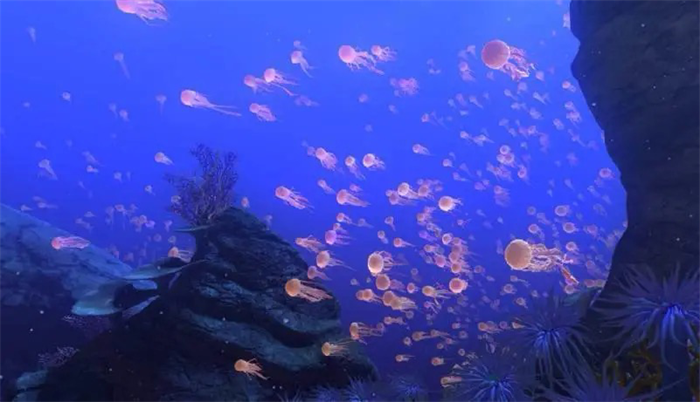 百慕大海底是外星生命的基地吗 那里有什么秘密（无从考究）