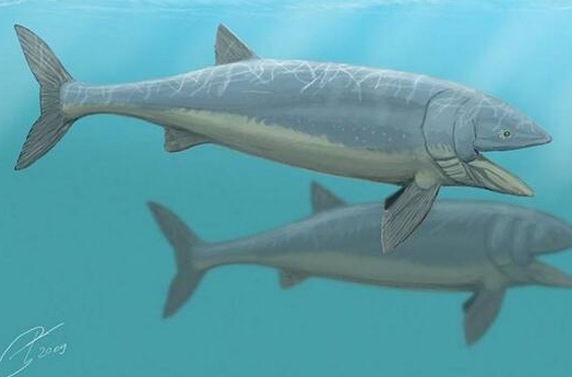 史上最大的鱼类，来自侏罗纪时代早已灭绝