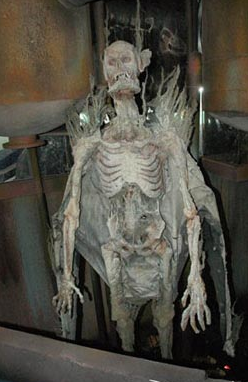 世界上最恐怖的博物馆，泰国“死亡博物馆”令人毛骨悚然