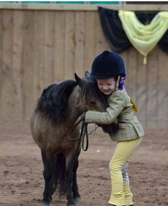 世界上最小的马，小狗一般高（迷你小马）