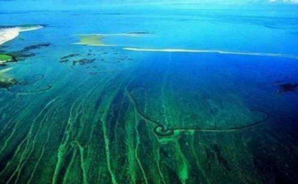 世界上最透明的海，可以看到距海面66米处的水生物