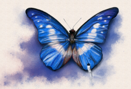 世界上最美丽的蝴蝶，童话里飞出来的精灵（奇幻）