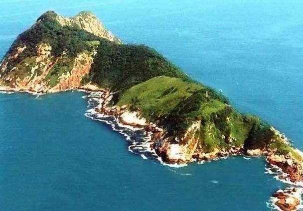 世界上最恐怖的岛屿：巴西蛇岛（人间炼狱）