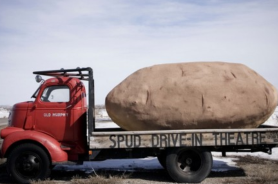 世界上最大的土豆，比人还重的大土豆（巨无霸）