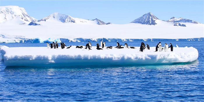 南极洲的冰层之下 竟然存在着一个神秘的世界（继续探索）