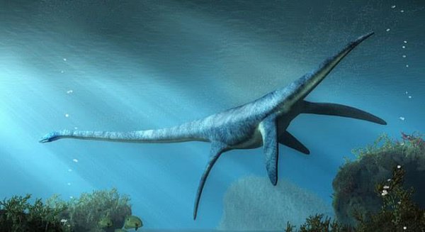 世界上最大史前海洋巨兽，身长可达15米