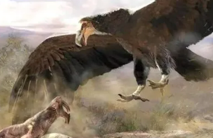 世界上最大的鹰，现代大型猛禽的祖先（新近纪晚期）
