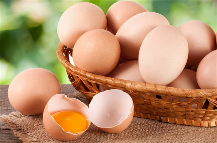 人造鸡蛋和真鸡蛋 有什么差别（人造食物）