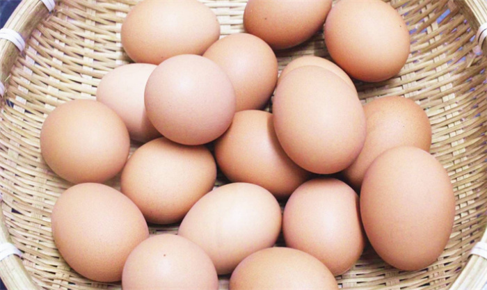 人造鸡蛋和真鸡蛋 有什么差别（人造食物）