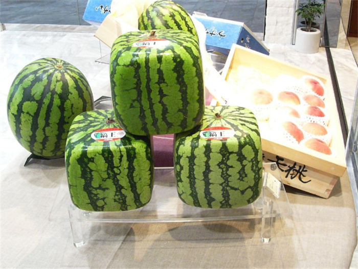 日本人吃西瓜要撒盐 这是什么癖好（日本水果）