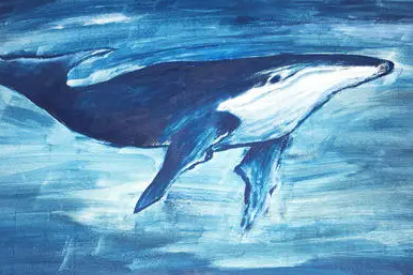 世界上最孤独的鲸，无法与同类交流（歌声高昂）