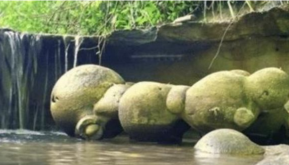 全球最奇怪的石头，一碰到水就会不断的疯长