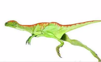 世界上最小的恐龙，体重仅有十千克（小巧玲珑）