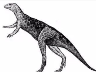 世界上最小的恐龙，体重仅有十千克（小巧玲珑）
