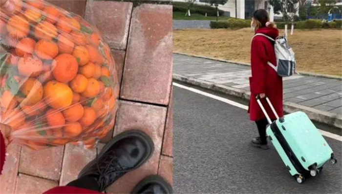 女子带上50斤砂糖橘回学校 结果半路全丢（偷水果）