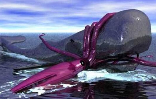 世界上最大的乌贼，身长20多米堪称现实版北海巨妖