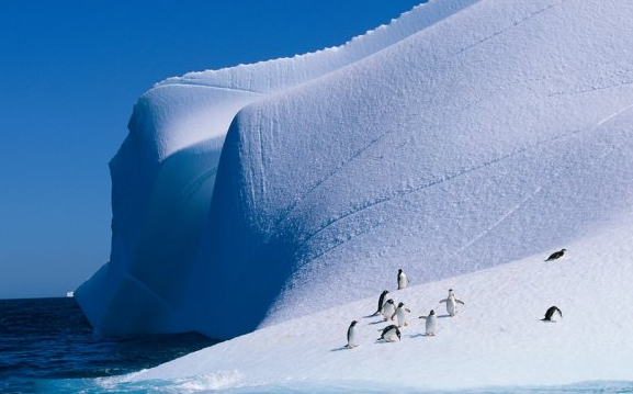 世界上最干旱的大洲，南极洲全年冰封降水也比较少