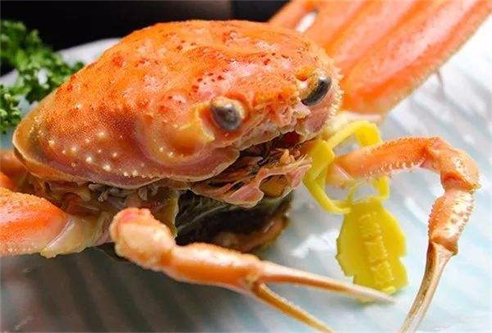 世界上最贵的螃蟹 拍出500万日元天价的五辉星(来自于日本)