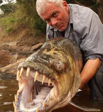 世界上最恐怖的鱼：食人鱼（疯狂撕咬）