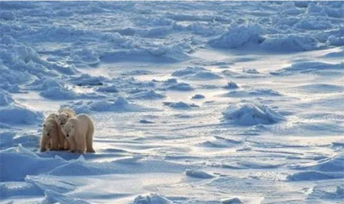 北极地区频繁发生异常的现象 强烈闪光的出现（气候变暖）