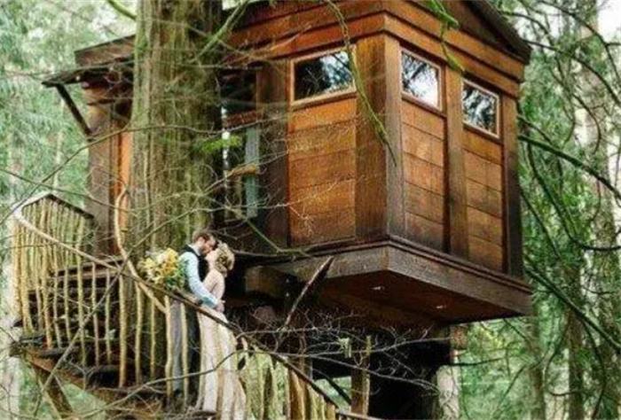 世界上最大的树屋 瑞典树上酒店12年时间手工打造(被烧毁)