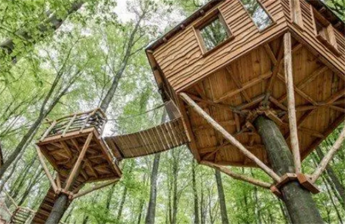 世界上最大的树屋 瑞典树上酒店12年时间手工打造(被烧毁)