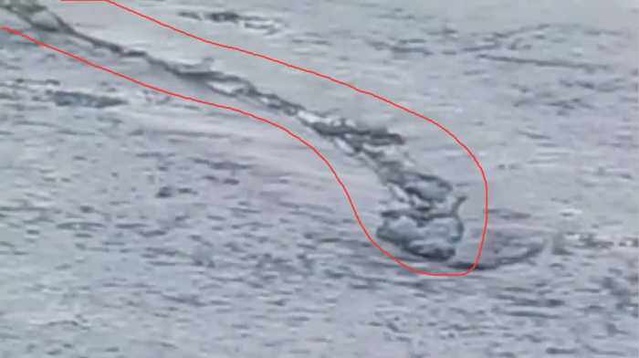 冰岛水怪，游走在冰面上的巨型蟒蛇(未解之谜)