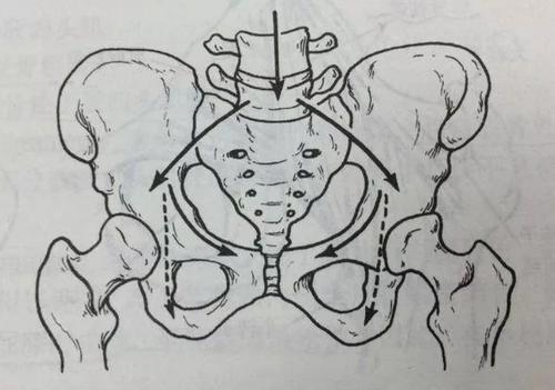 比坐木马更可怕的乳房钳，世界第一残忍女性酷刑（西方发明）