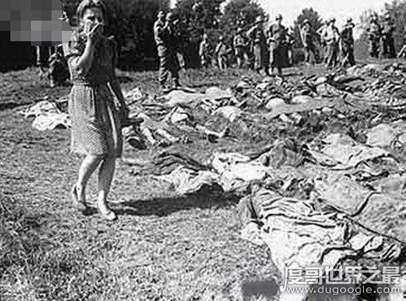 二战时期德国T-4护士组，用圣洁的双手残忍杀害10万病人