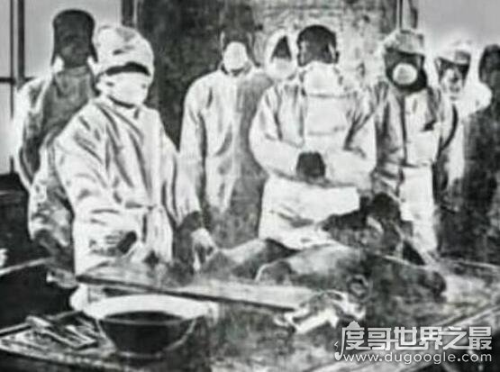马路大是什么意思，侵华日军731污辱人体实验的称呼